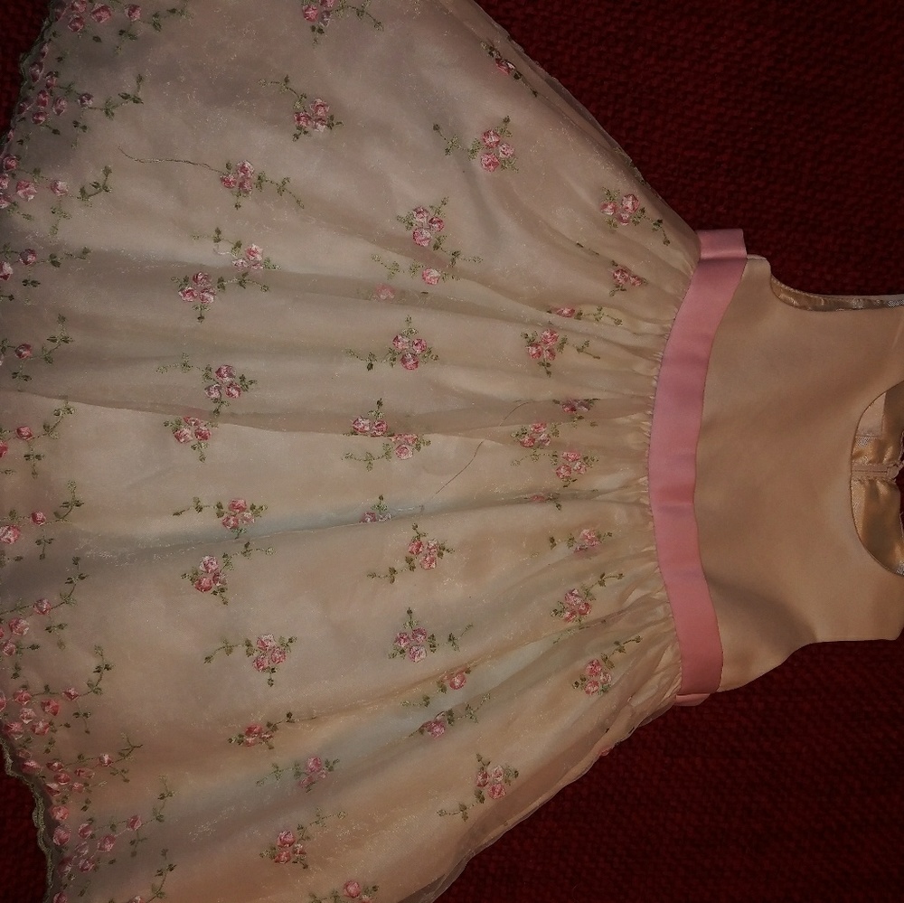 Embroidred lace and cream boutique dress 2T